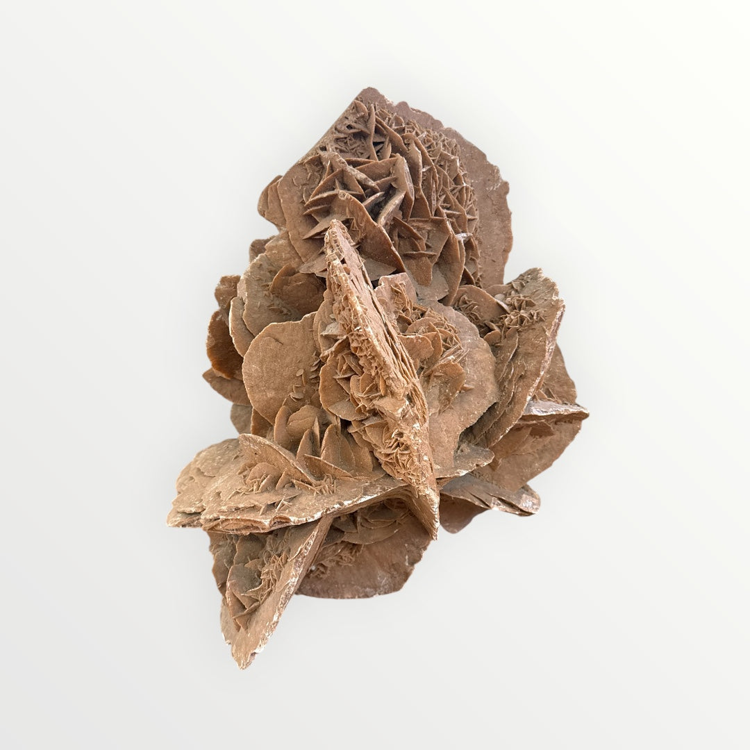 Rose des sables