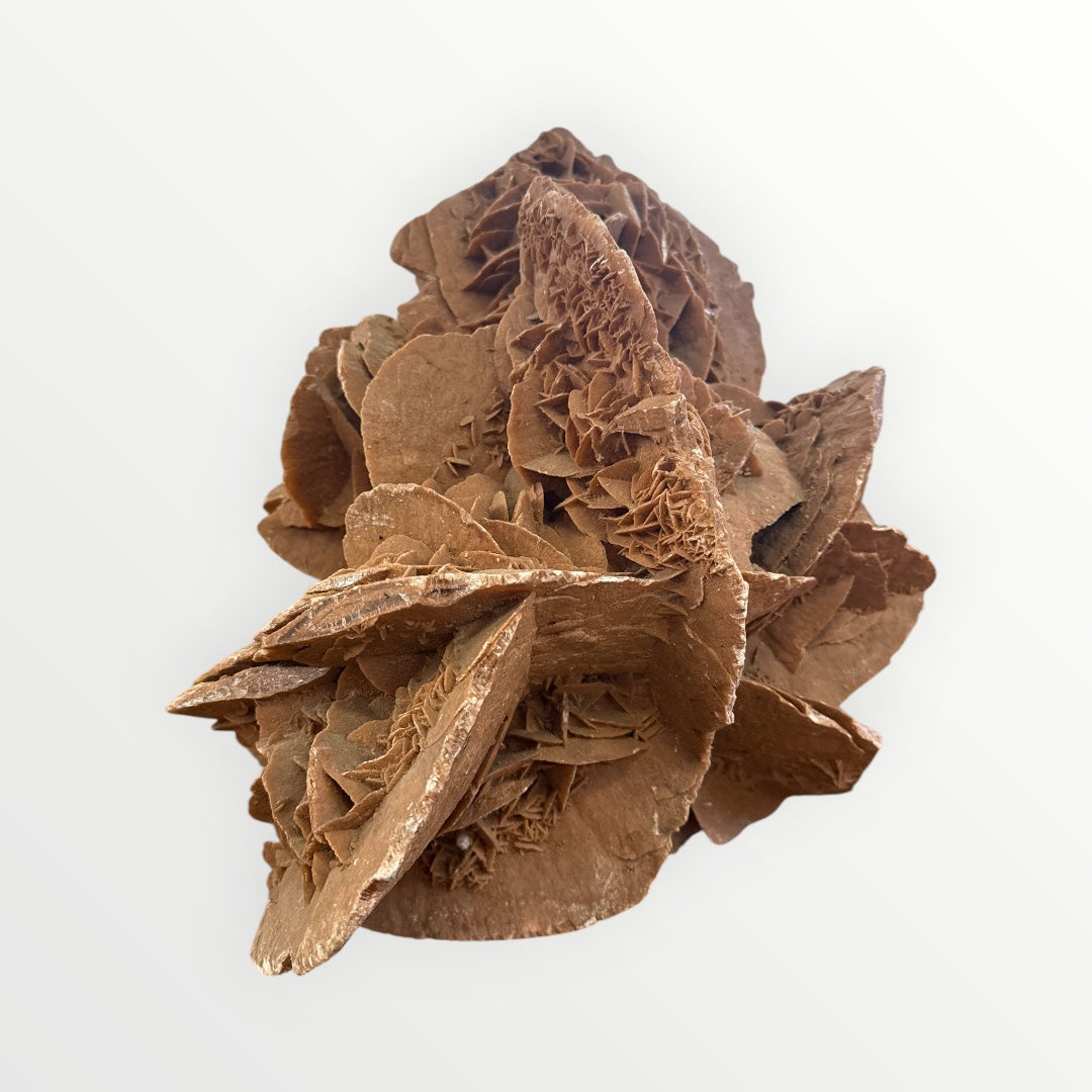 Rose des sables