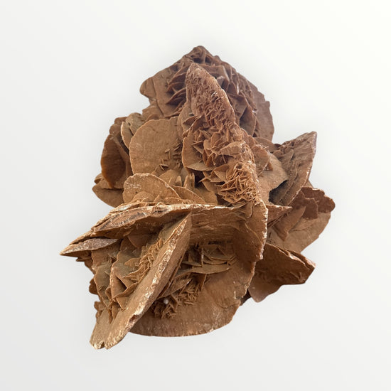 Rose des sables