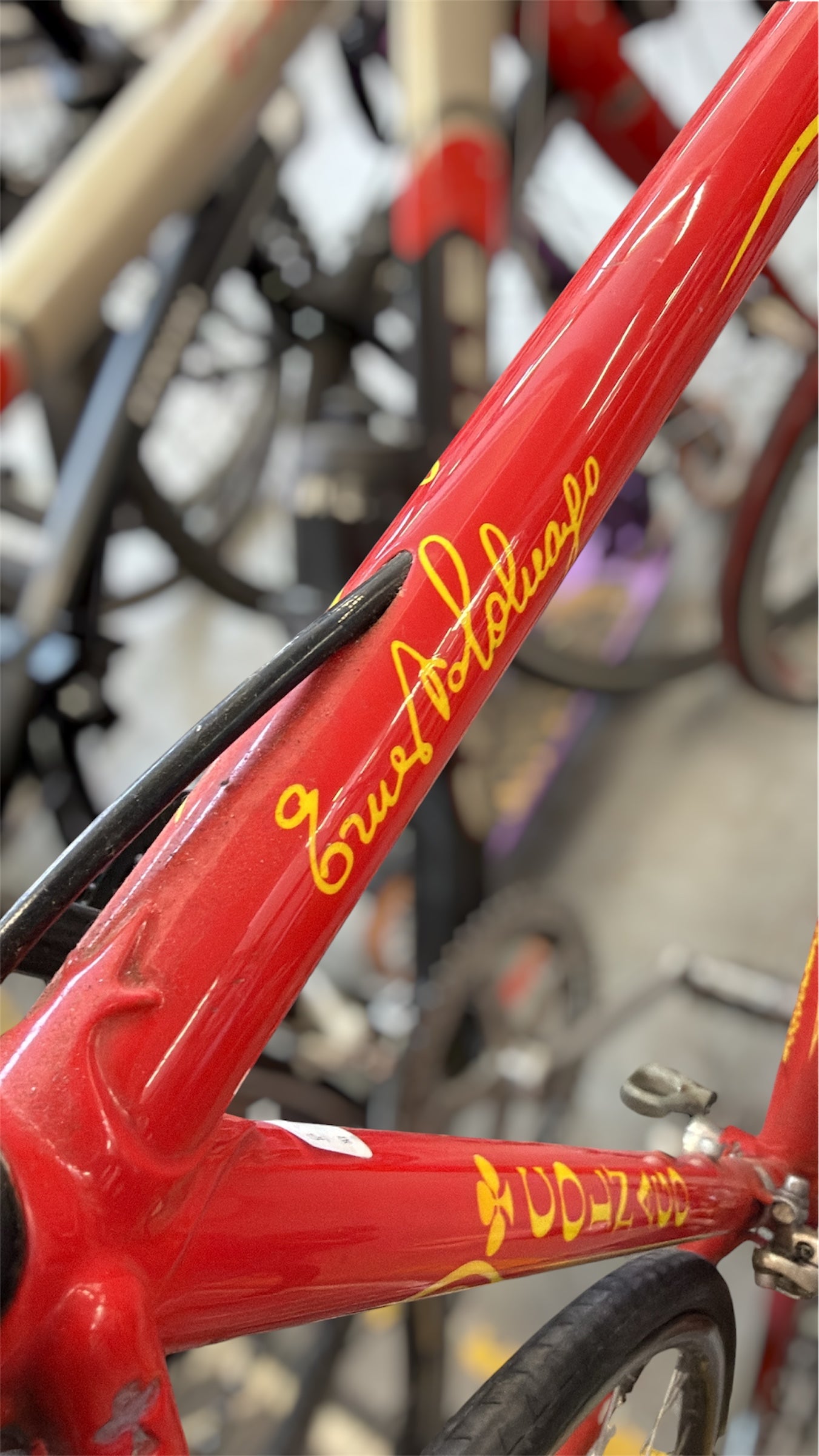 Vélo de course Colnago Jan Vranckx Competition